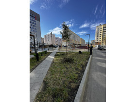 Реализация ландшафтного проекта Квартал 22, фото 3