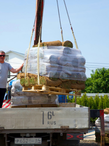 Погрузка рулонного газона